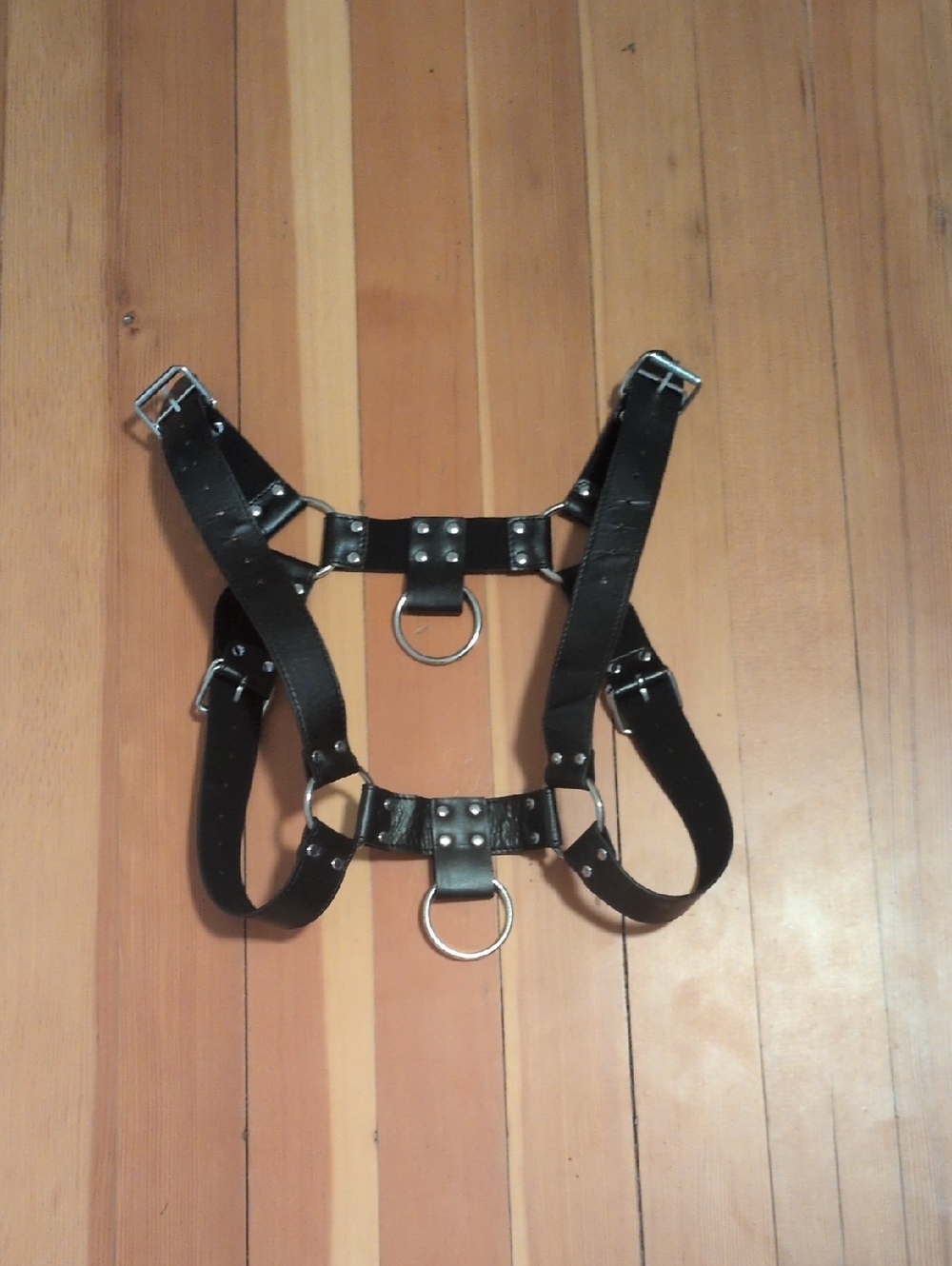 Black Leather Chest Harness with Metal Rings -